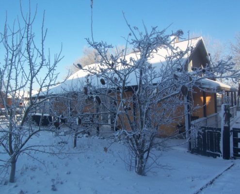 Halmhus på en vinterdag